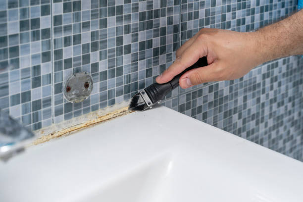 Best Mold Cleaning Services  in Edgewood, KY